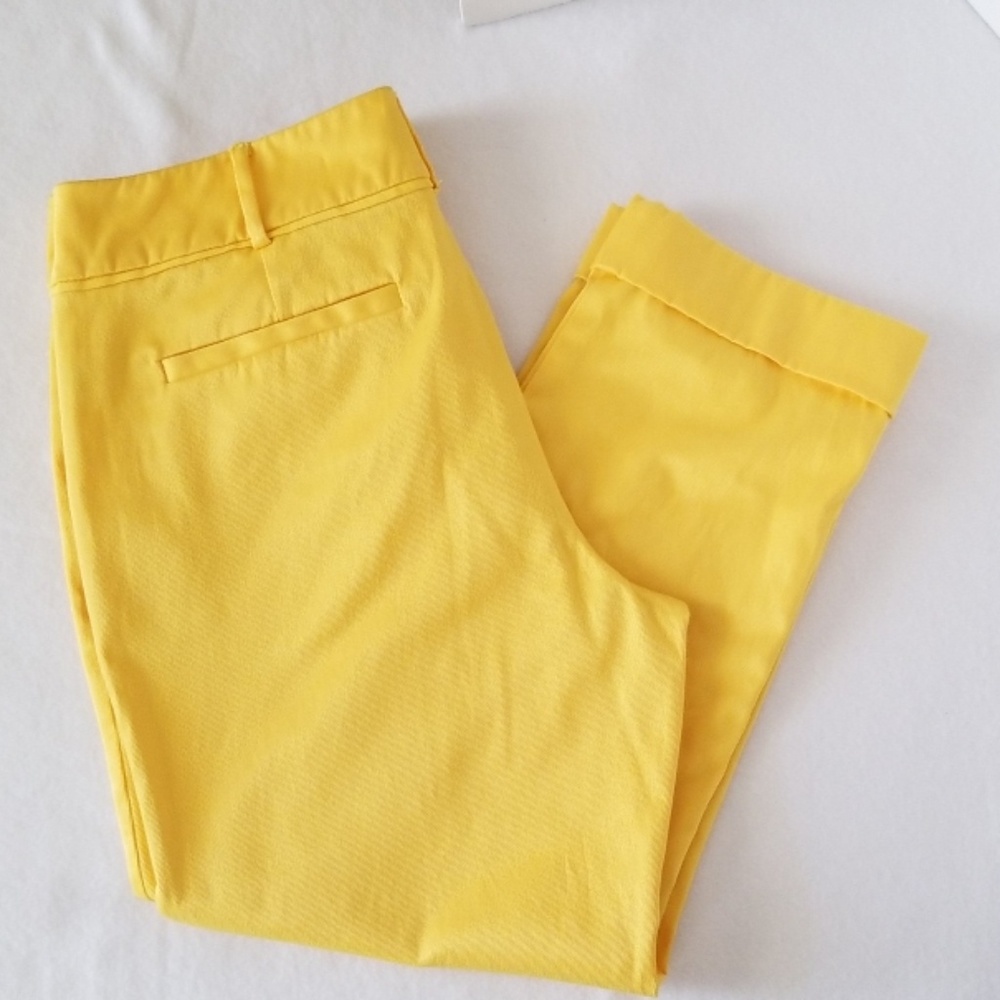 7th Avenue Design Studio Capri Jeans Sz 10 Color Y